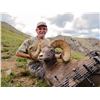 Image 3 : NEW MEXICO ROCKY MOUNTAIN BIGHORN SHEEP PERMIT