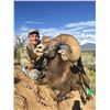 Image 4 : NEW MEXICO ROCKY MOUNTAIN BIGHORN SHEEP PERMIT