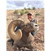 Image 5 : NEW MEXICO ROCKY MOUNTAIN BIGHORN SHEEP PERMIT