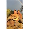 Image 6 : NEW MEXICO ROCKY MOUNTAIN BIGHORN SHEEP PERMIT
