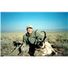 Image 4 : STATE OF NEVADA PRONGHORN TAG