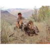Image 3 : 2021 OREGON BIGHORN SHEEP TAG