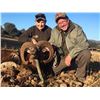 Image 2 : 3 - DAY FREE RANGE IBERIAN MOUFLON SHEEP HUNT FOR 1 HUNTER