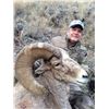 Image 3 : STATE OF WASHINGTON CALIFORNIA BIGHORN SHEEP