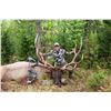 Image 3 : 6 - DAY RIFLE ONLY HUNT FOR ELK IN MONTANA FOR 1 HUNTER