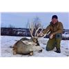 Image 8 : ALBERTA MINISTER’S SPECIAL MULE DEER