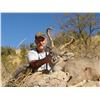 Image 4 : 5 - DAY TROPHY ARIZONA COUES DEER HUNT FOR 2 HUNTERS