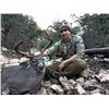 Image 5 : 5 - DAY TROPHY ARIZONA COUES DEER HUNT FOR 2 HUNTERS