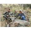 Image 6 : 5 - DAY TROPHY ARIZONA COUES DEER HUNT FOR 2 HUNTERS