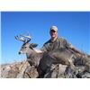 Image 7 : 5 - DAY TROPHY ARIZONA COUES DEER HUNT FOR 2 HUNTERS