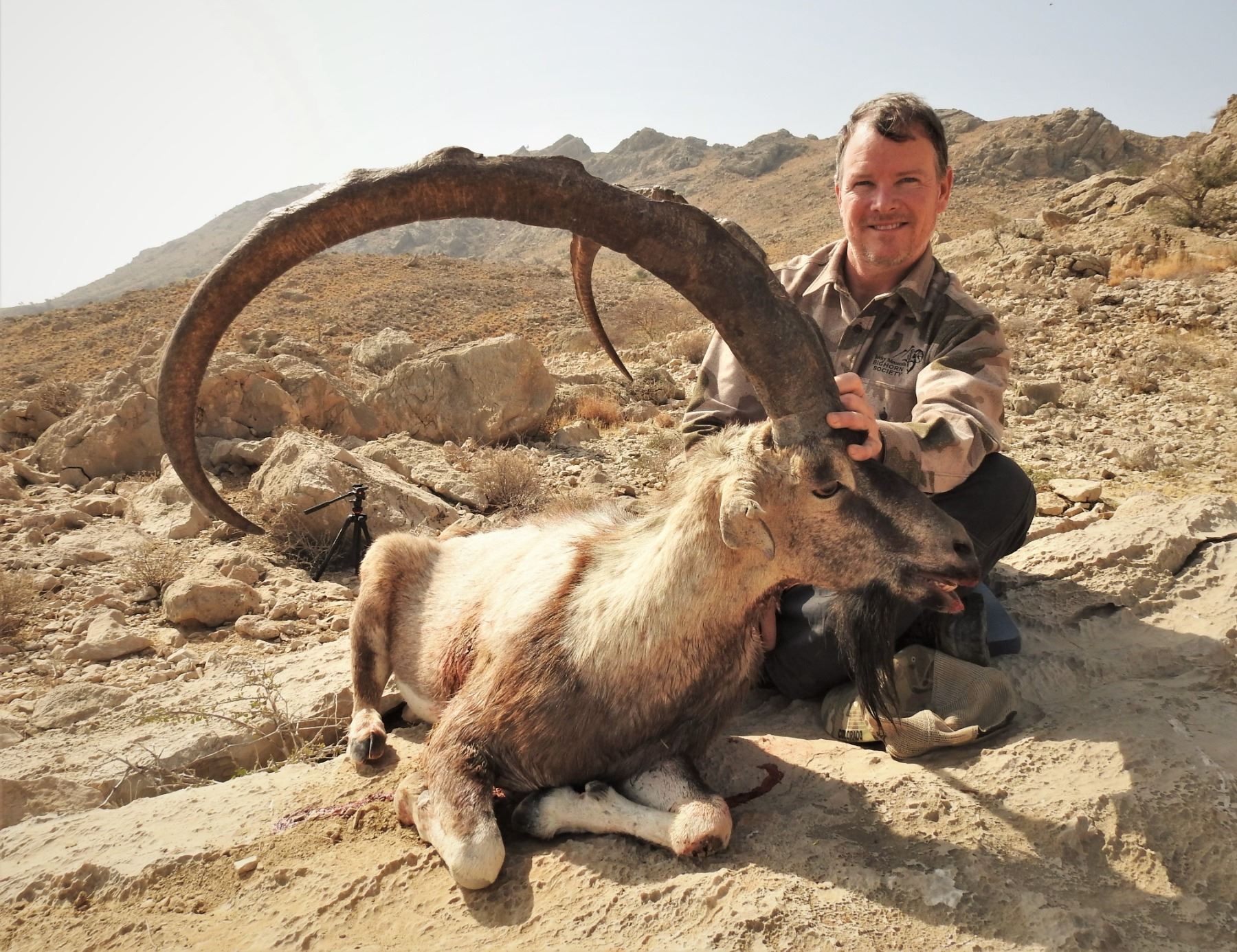 Pakistan Hunter 3 - DAY SINDH IBEX (up to 39