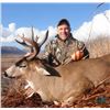Image 10 : 9 - DAY ALASKAN HUNT FOR 2 MOUNTAIN GOATS AND 1 SITKA BLACKTAIL DEER FOR 1 HUNTER