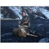Image 4 : 9 - DAY ALASKAN HUNT FOR 2 MOUNTAIN GOATS AND 1 SITKA BLACKTAIL DEER FOR 1 HUNTER