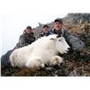 Image 7 : 9 - DAY ALASKAN HUNT FOR 2 MOUNTAIN GOATS AND 1 SITKA BLACKTAIL DEER FOR 1 HUNTER