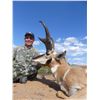 Image 8 : ARIZONA GAME & FISH COMMISIONER’S SPECIAL ANTELOPE TAG