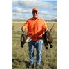 Image 2 : 3-DAY PHEASANT AND UPLAND GAME BIRD HUNT FOR 1 HUNTER (Wild birds no release)