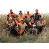Image 8 : 3-DAY PHEASANT AND UPLAND GAME BIRD HUNT FOR 1 HUNTER (Wild birds no release)