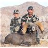 CALIFORNIA DESERT BIGHORN SHEEP (Open-Zone Tag)