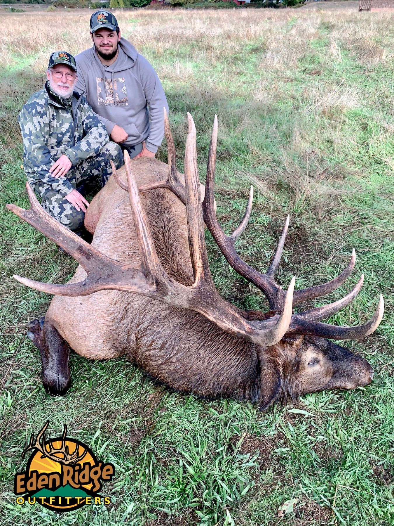 5 DAY ROOSEVELT ELK HUNT FOR 1 HUNTER IN OREGON