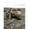 Image 4 : WYOMING GOVERNORS SHIRAS MOOSE LICENSE
