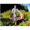 Image 5 : WYOMING GOVERNORS SHIRAS MOOSE LICENSE