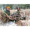 Image 7 : WYOMING GOVERNORS SHIRAS MOOSE LICENSE