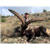 Image 3 : 6-DAY BECEITE IBEX HUNT & PYRENEAN CHAMOIS FOR 1 OR 2 HUNTERS