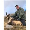 Image 4 : 6-DAY BECEITE IBEX HUNT & PYRENEAN CHAMOIS FOR 1 OR 2 HUNTERS