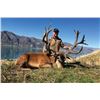 Image 1 : FR-18 Red Stag Hunt, New Zealand