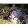 Image 2 : FR-20 Black Bear Hunt for TWO Bears, Newfoundland