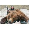 Image 2 : FR-23 Kamchatka Brown Bear Hunt, Russia