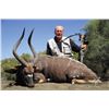 Image 2 : FR-29 Safari for Two Hunters and Two Observers, South Africa