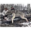 Image 2 : FR-43 Wolf and Coyote Hunt, Alberta (Over Bait)