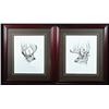 Image 1 : FR-50 Whitetail Deer Art (Set of Two)