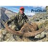 Image 2 : SA-03 Mid-Caucasian Tur Hunt, Russia