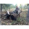 Image 2 : SA-05 Wyoming Shiras Moose Governor’s Permit