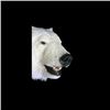 Image 2 : SA-18 Replica Polar Bear with Base