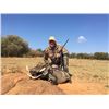 Image 3 : TSALA HUNTING SAFARIS: Incredible Plains Game Package for 2 Hunters in Limpopo, South Africa