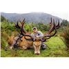Image 1 : WILDERNESS QUEST NEW ZEALAND: 6 Day Hunt for Red Stag Plus a $1,500 Credit Towards Tahr & Chamois in