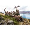 Image 2 : WILDERNESS QUEST NEW ZEALAND: 6 Day Hunt for Red Stag Plus a $1,500 Credit Towards Tahr & Chamois in
