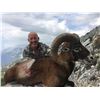 Image 2 : SAFARI INTERNATIONAL MACEDONIA: 5 Day European Mouflon Hunt for 1 Hunter and 1 Non-Hunter in Biblica
