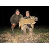 Image 3 : SAFARI ART: 3-Day Small Predator Hunt and Tour in Serbia for 2 Hunters or 1 Hunter and 1 Observer.