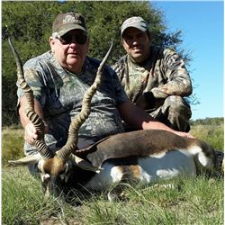 MAPU HUNTING LODGE: 5 Day/6 Night Argentina Blackbuck Antelope, 1 Texas Dall Sheep, 2 Wildboar and D