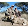 Image 2 : MAPU HUNTING LODGE: 5 Day/6 Night Argentina Blackbuck Antelope, 1 Texas Dall Sheep, 2 Wildboar and D