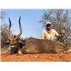 Image 4 : SABUDAWN SAFARIS: 7 Day South African Hunting Safari for 4 Hunters for Impala, Blesbuck, Warthog, St