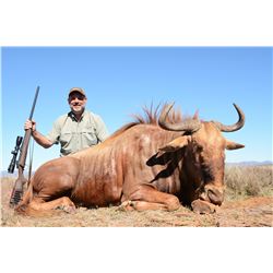 TAM SAFARIS: 6 Day, 1x1 Trophy Golden Wildebeest Hunt for 1 Hunter and 1 Non-Hunter (Trophy Fee Incl