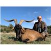 Image 1 : SAFARIS INTERNATIONAL MACEDONIA: 5 Day Hybrid Kri Kri Ibex Hunt for 1 Hunter in Your Choice of Maced