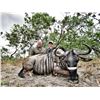 Image 5 : HERITAGE SAFARIS: 9 Day Buffalo Hunting Safari for 1 Hunter in The Selous Game Reserve, Tanzania for