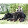Image 1 : NORTH ALBERTA OUTFITTERS: 6 Day Black Bear Hunt for 2 Bears in Beautiful Canada!