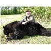 Image 2 : NORTH ALBERTA OUTFITTERS: 6 Day Black Bear Hunt for 2 Bears in Beautiful Canada!